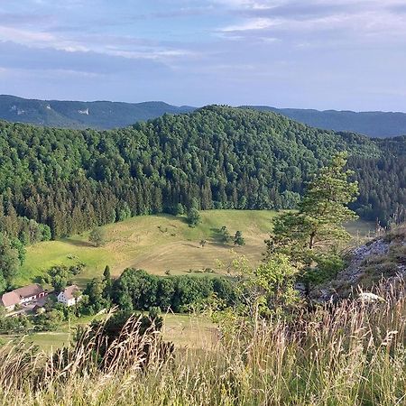 Ferienwohnung Schatz Albstadt Luaran gambar
