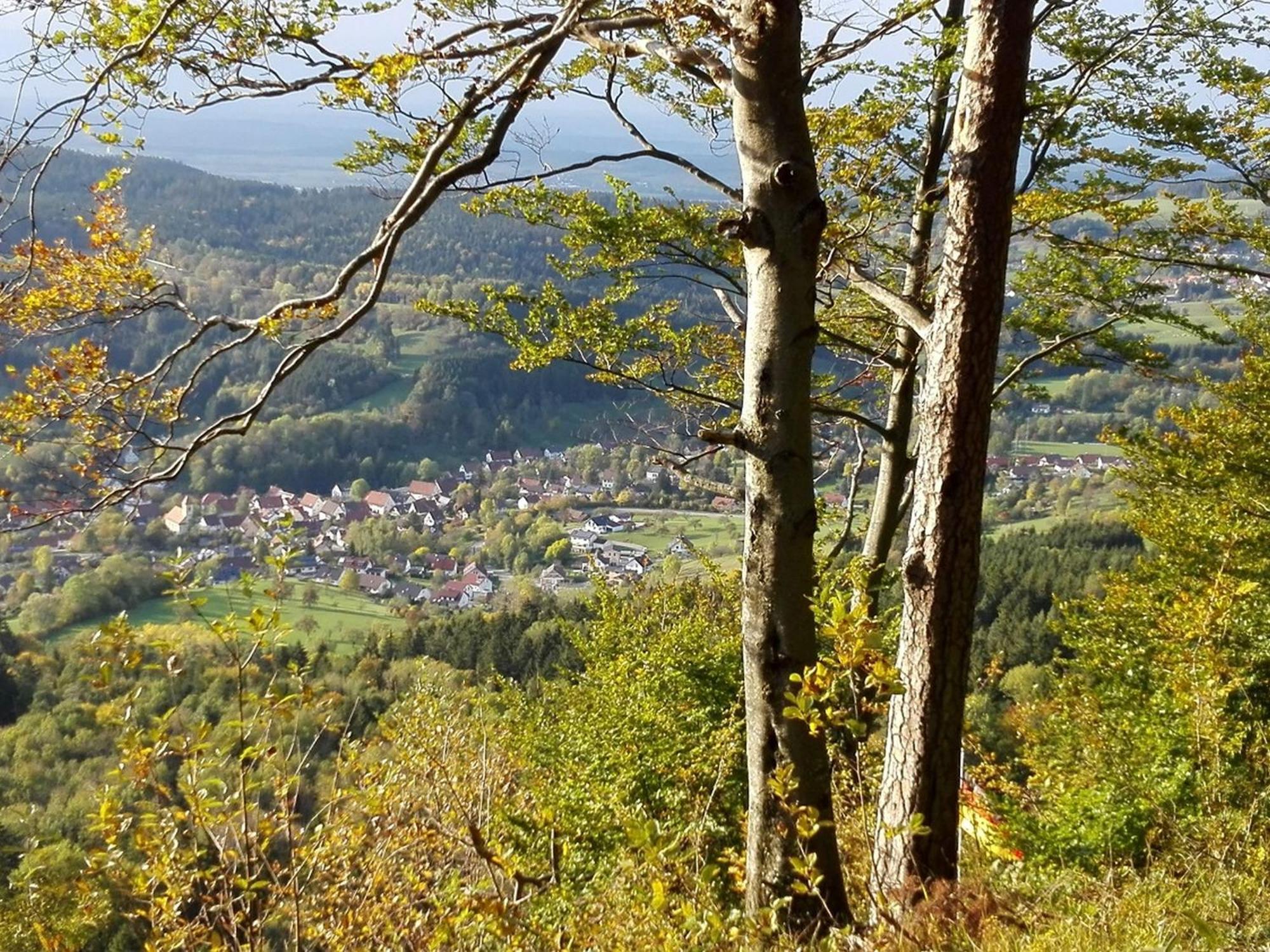 Ferienwohnung Schatz Albstadt Luaran gambar