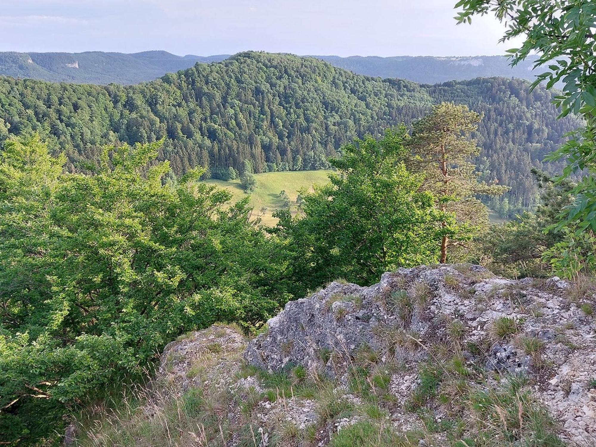 Ferienwohnung Schatz Albstadt Luaran gambar